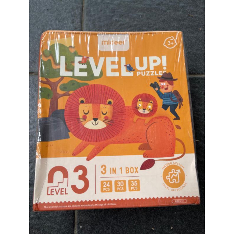 Mideer Advanced Level Up Puzzle Level 03 / Clemetoni