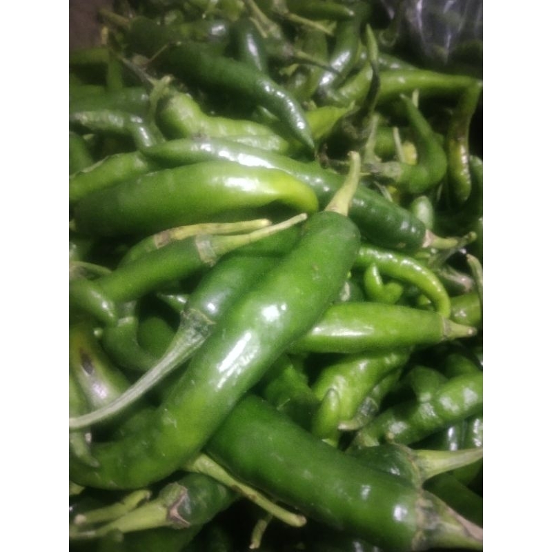 

cabe besar hijau fresh panjang.