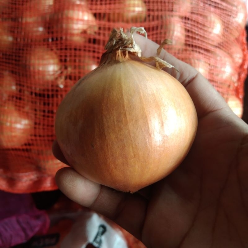 

1 kg bawang Bombay.