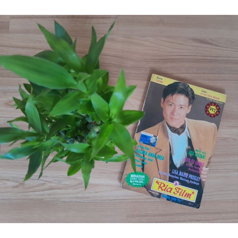 Majalah Ria Film