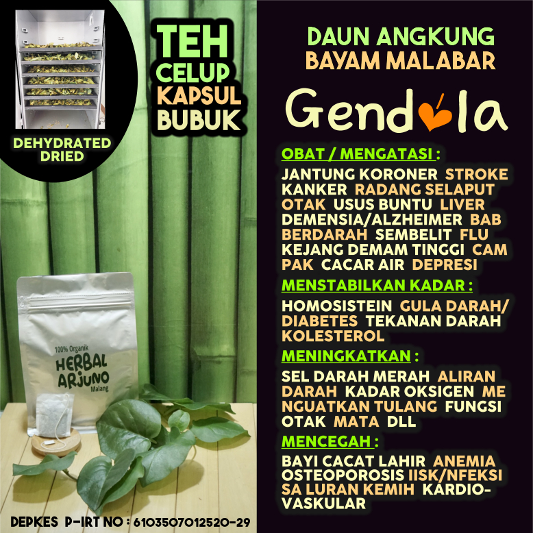 

Dehydrated Dried Teh Celup Kapsul & Bubuk Daun Gendola Bayam Malabar Angkung Obat Jantung Koroner Stroke Kanker Paru-Paru Radang Selaput Otak Usus Buntu Mencegah Bayi Cacat Lahir Anemia Hipertensi Kolesterol Diabetes Campak Cacar Air Dll Herbal Alami