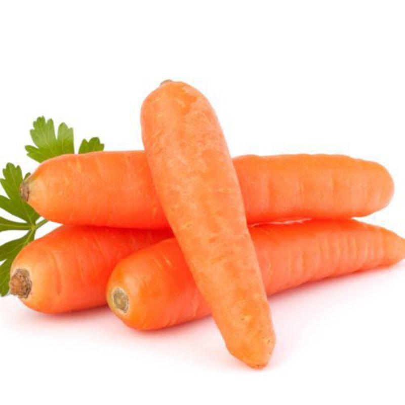 

Wortel brastagi 500g - 1kg / wortel medan / wortel import / wortel fresh / wortel murah / sayur / sayur fresh / sayuran murah