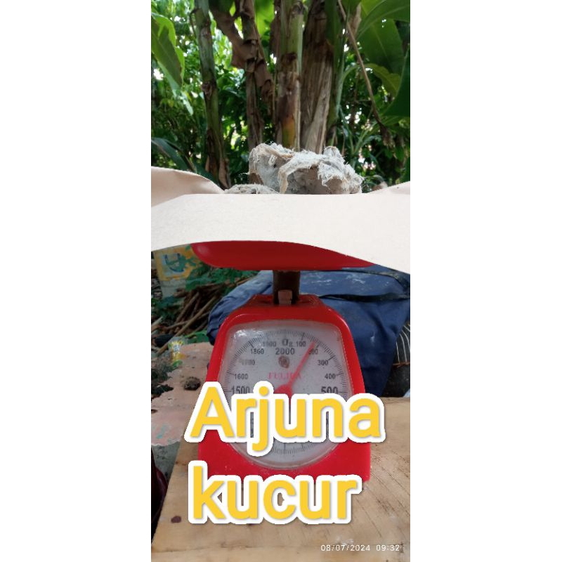 kucur