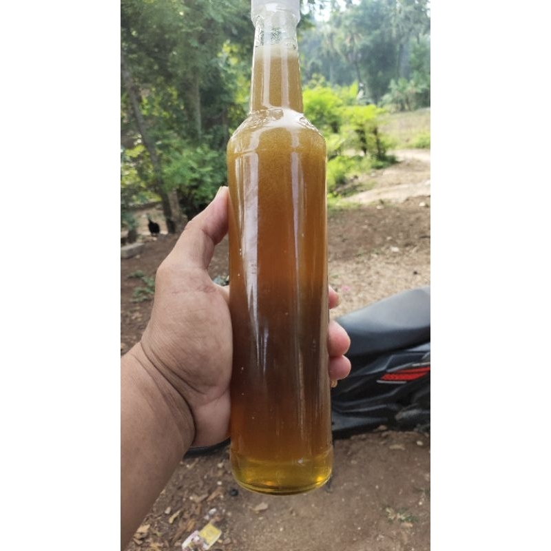 

madu gong /madu hutan/ madu liar/ madu asli/madu tawon apisdor sata