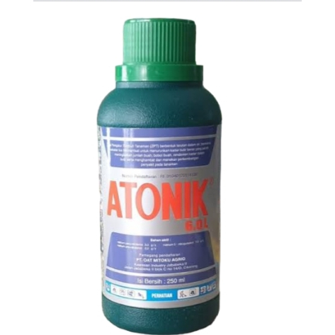 ZPT ATONIK 250Ml