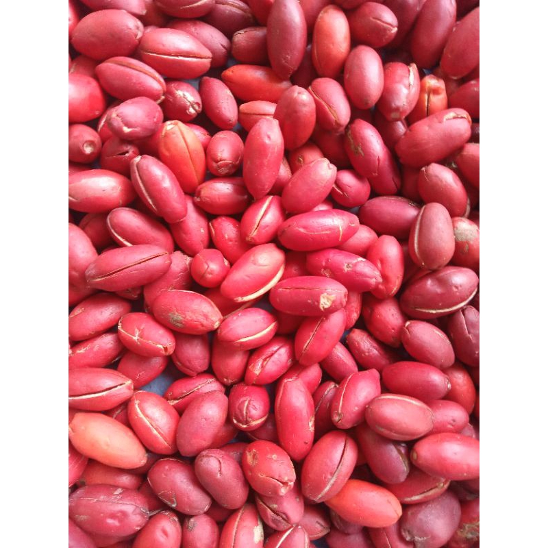 

Kulit Melinjo 250g-1kg / kulit ninjo / kulit tangkil / melinjo / tangkil / sayur / sayur fresh / sayuran murah
