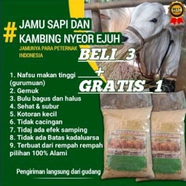 KODE E57L Jamu Sapi Dan Kambing Nyeor ejuh jamu sapi lahap makan jamu sapi cepat gemuk jamu sapi Nye