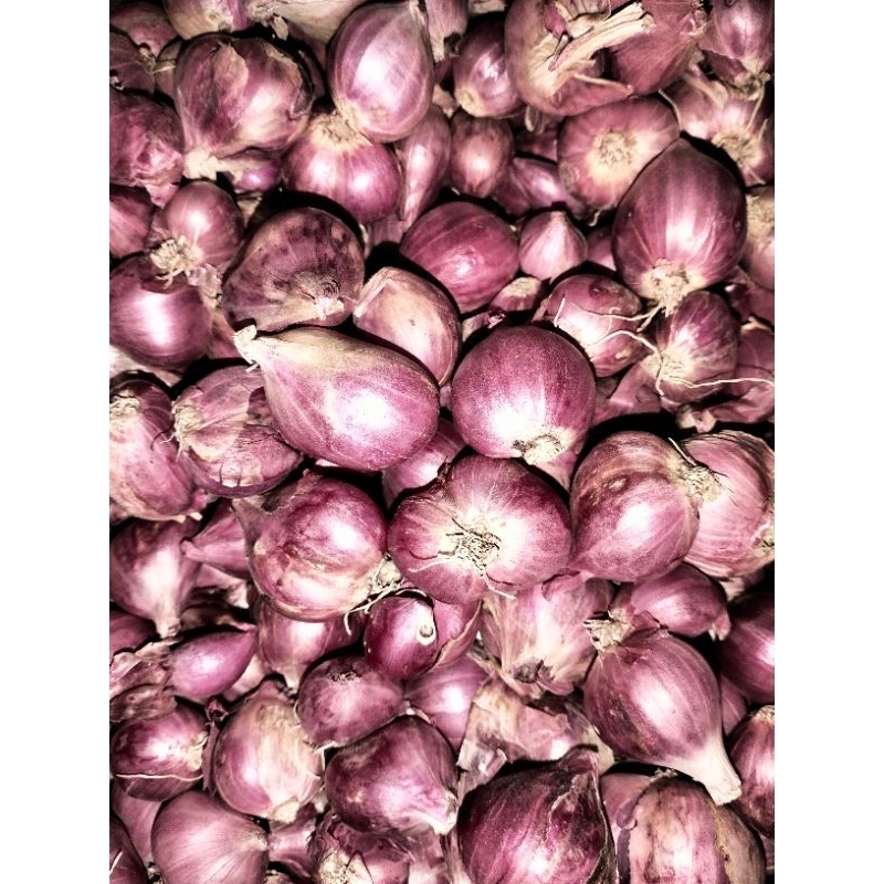 

bawang merah