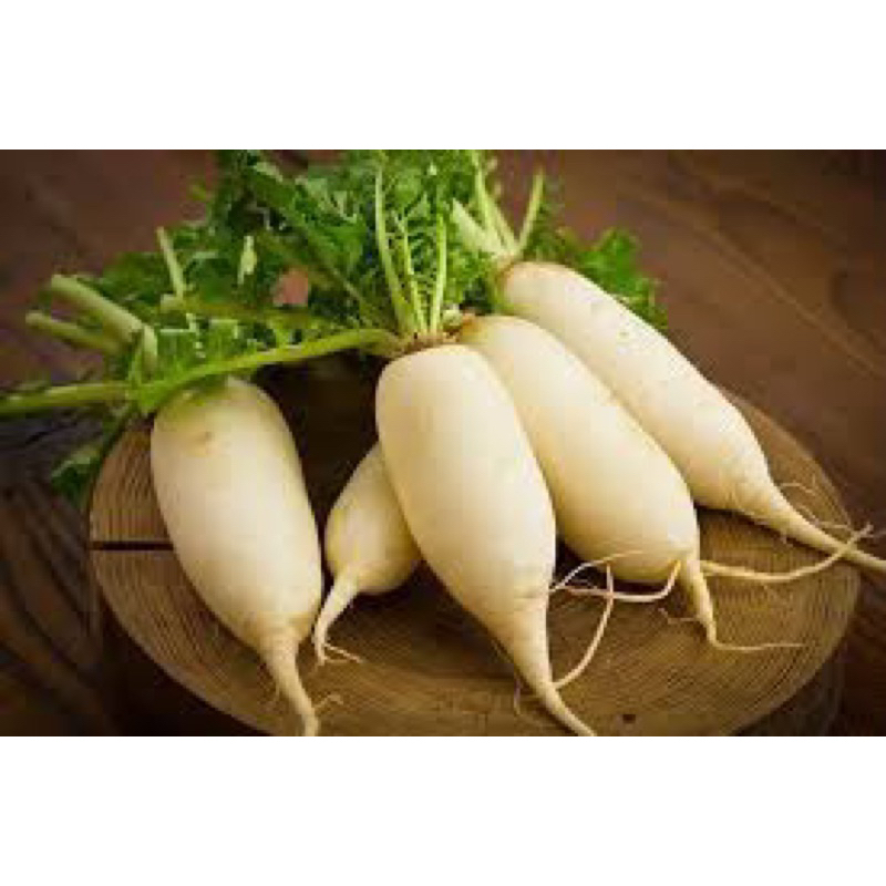 

lobak putih segar 1kg fresh market