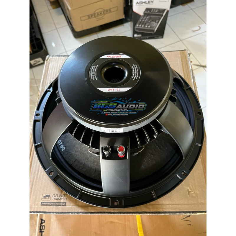 speaker 15 inch wisdom w 1572