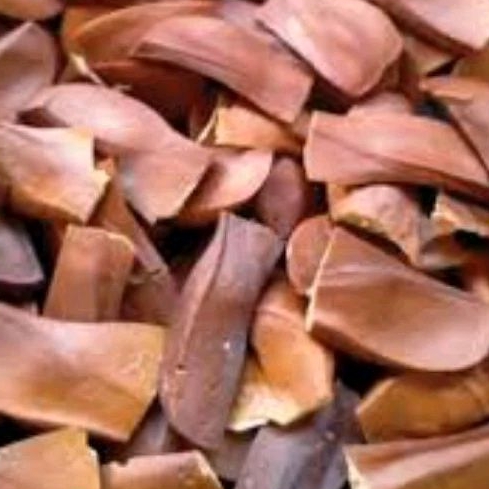 Biji Mahoni kering 1kg Mahoni Kupas Serbuk Bubuk Biji Mahoni