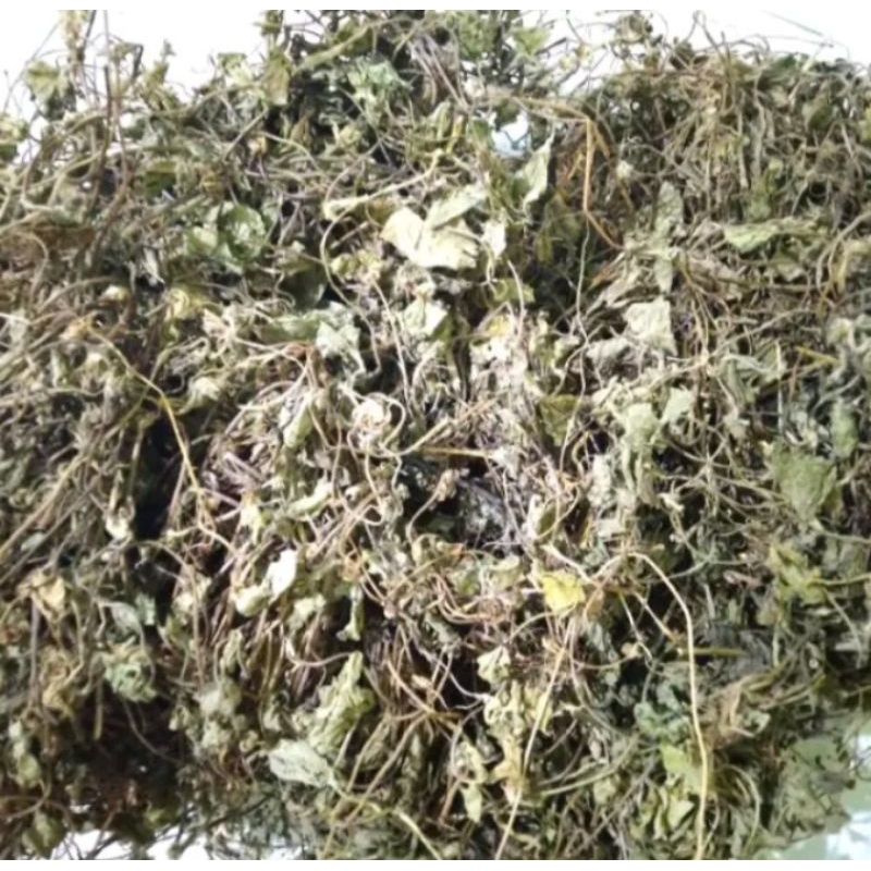 

Daun Pagagan Kering 1kg Antanan