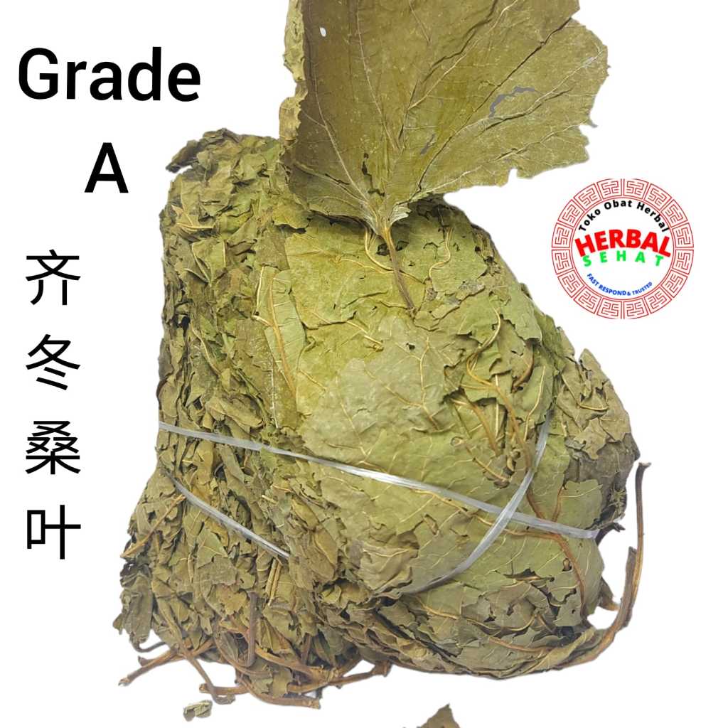 

100 Gram - Sang Ye / Song Ye 散桑叶/齐冬桑叶 White Mulberry Leaf - Folium Mori Albae