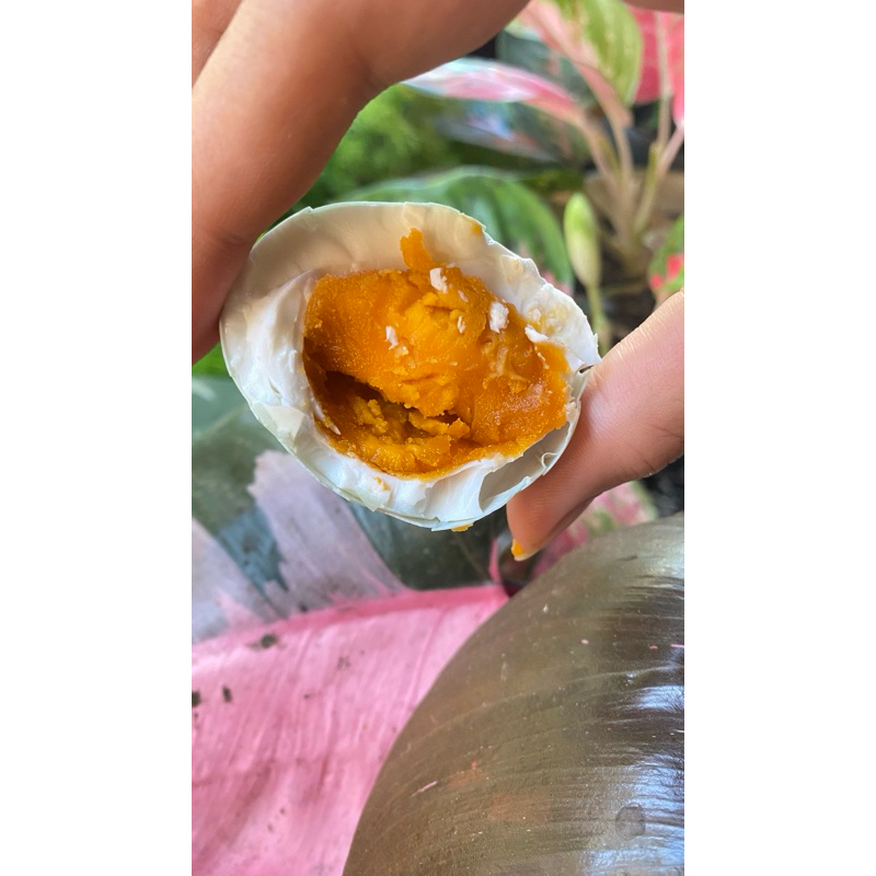 

Telur Asin Premium 10 biji