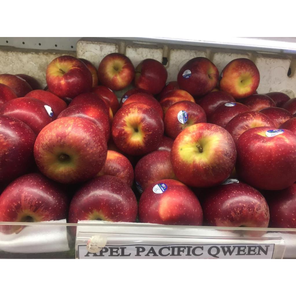 

Apel Pasific Qween (900G - 1Kg)