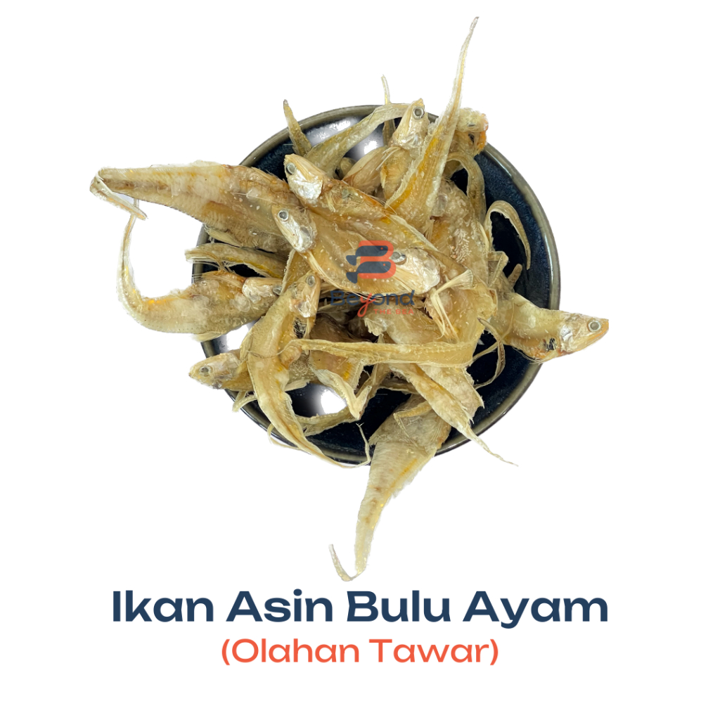 

【TERMURAH】Ikan Asin Bulu Ayam Tawar (250Gr) | beyondthesea