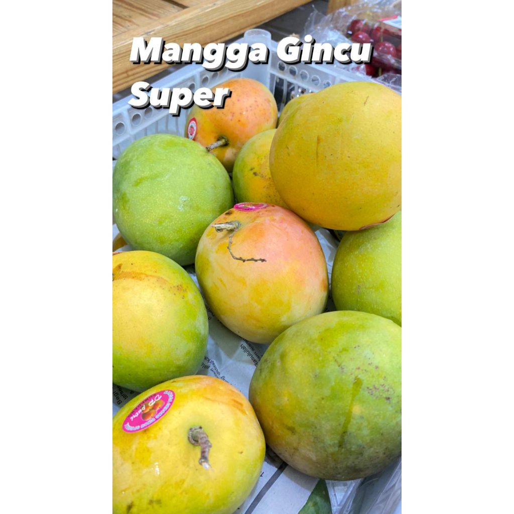 

Mangga Gincu