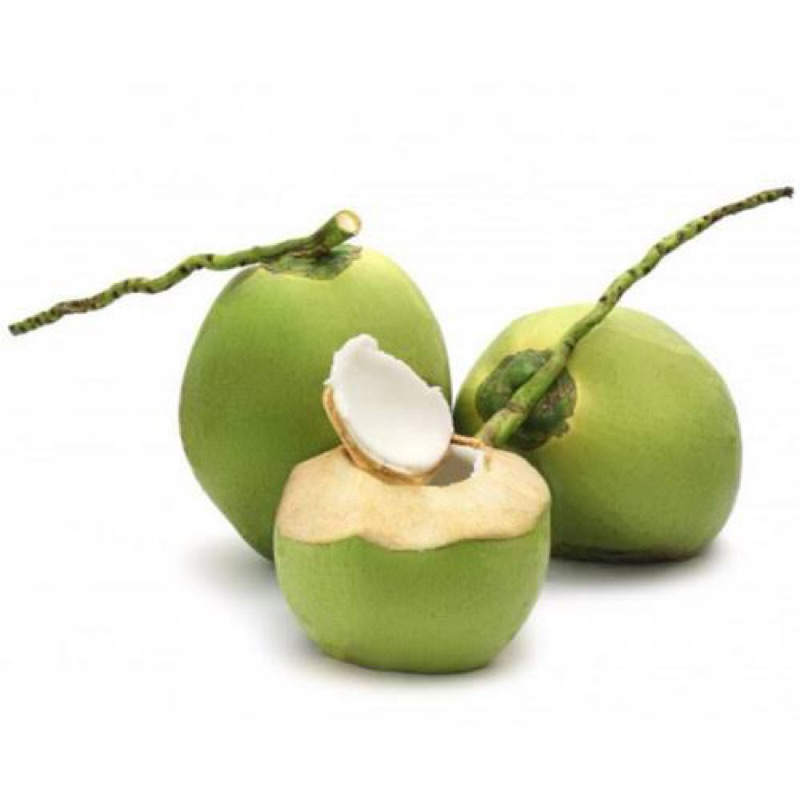 

Kelapa 1 buah Hanya kirim instan dan khusus Jambi