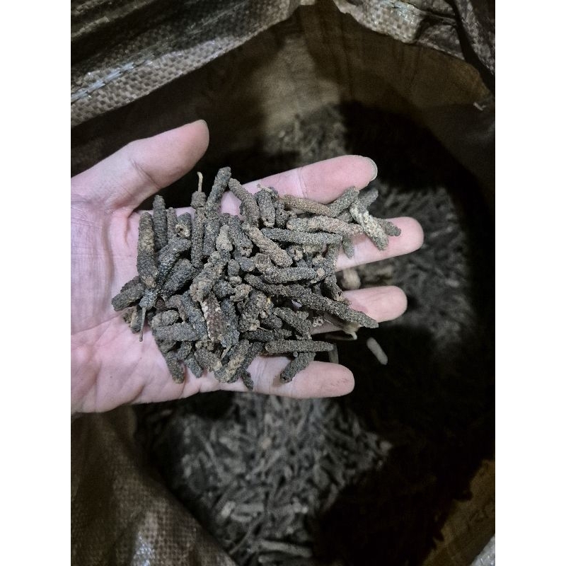 

Cabe Jawa / Cabe Jamu 100 gram