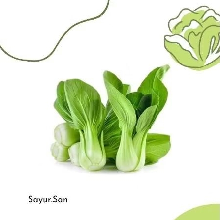 

Pokcoy fresh / Pakcoy / sawi daging / sawi sendok 500gr 1kg