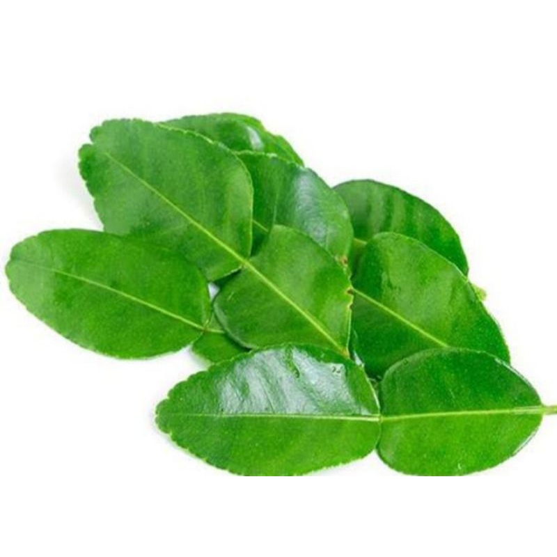 

daun jeruk purut fres