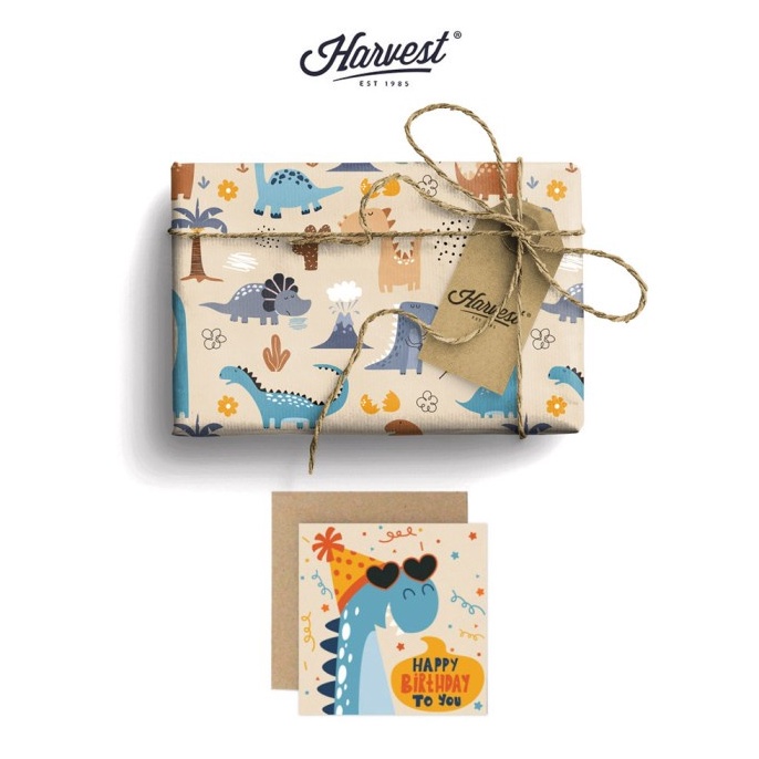 

PROMO SPESIAL Paket Kertas Kado Kartu Ucapan Harvest Wrap Kit Playground Dino