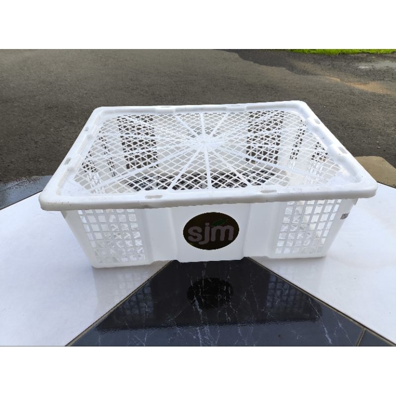 keranjang putih ex lengkeng