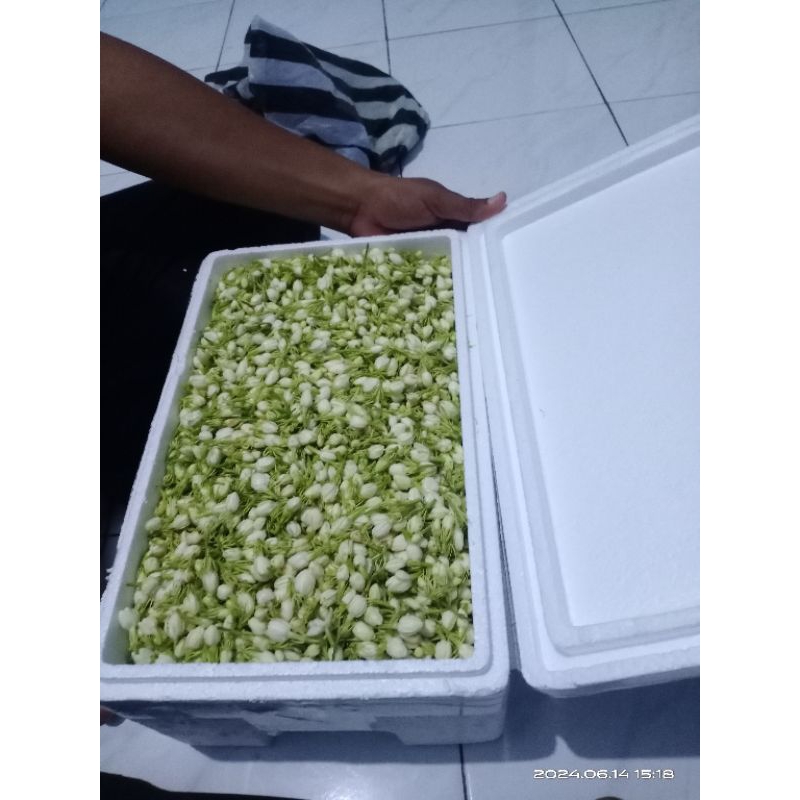 

Styrofoam packing melati