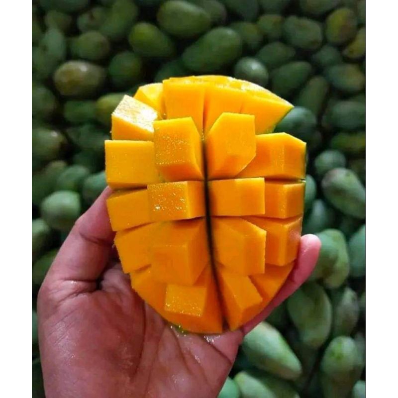 

Mangga Indramyu 1kg