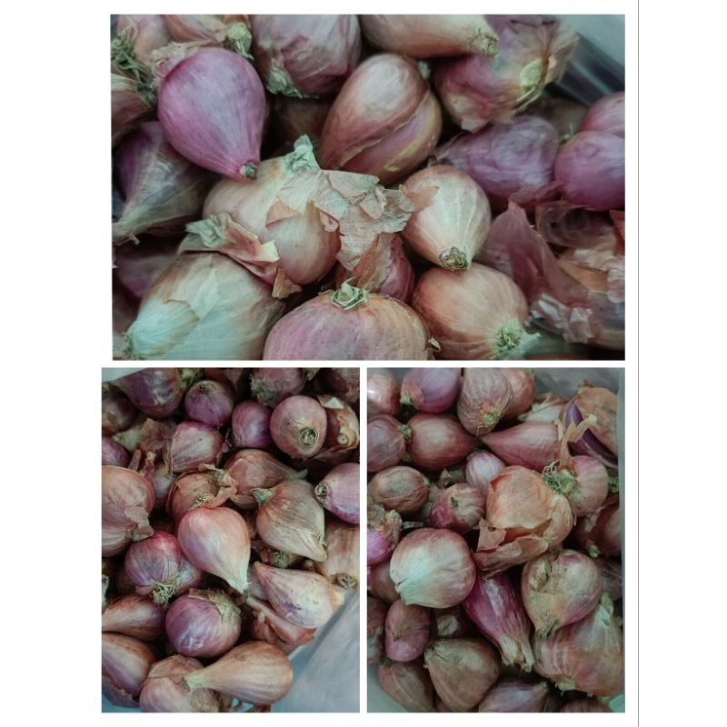

Bawang merah