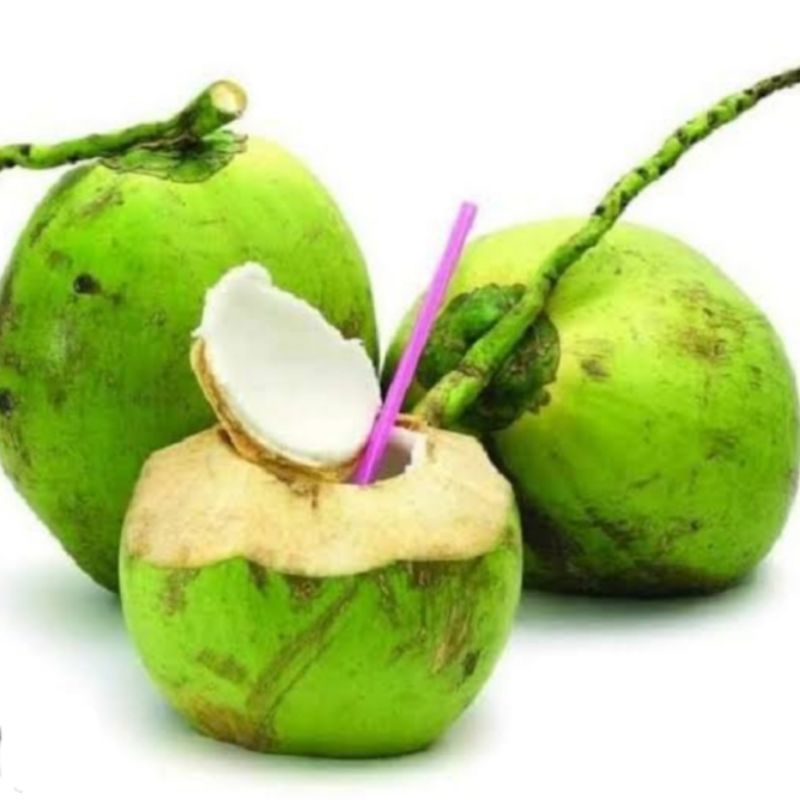 

Kelapa (Degan)