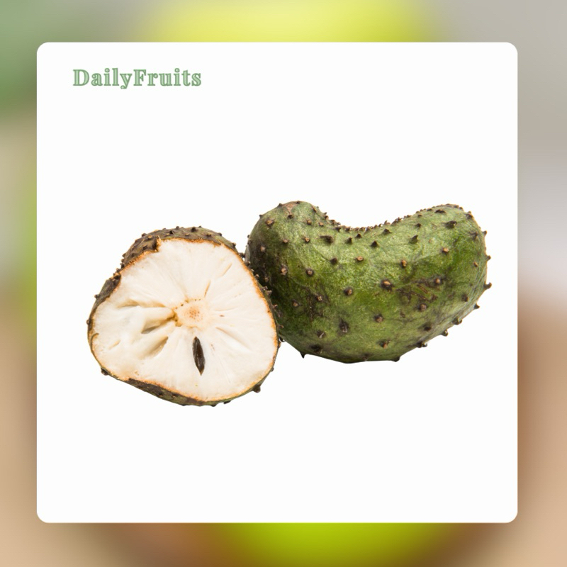

Sirsak Super Fresh 1 Kg | DailyFruits