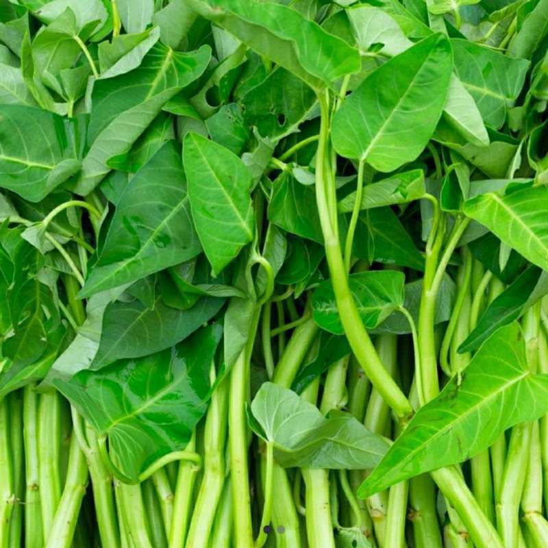 

sayur-sayuran (sembako)