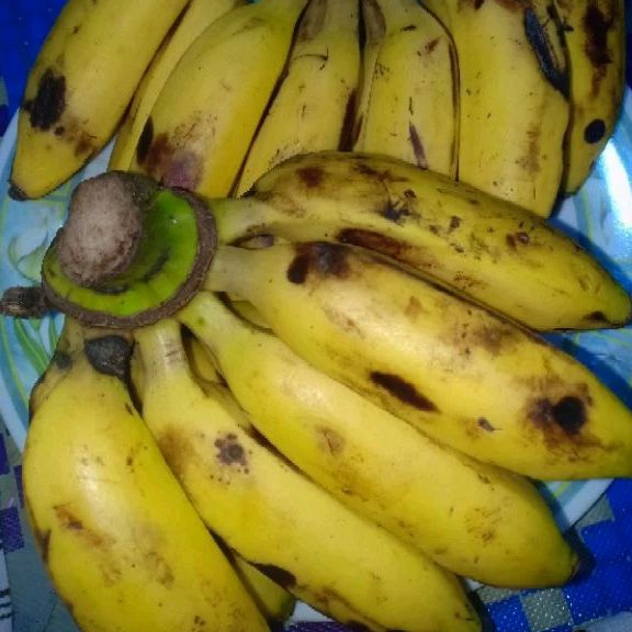 

Pisang Uli per kg