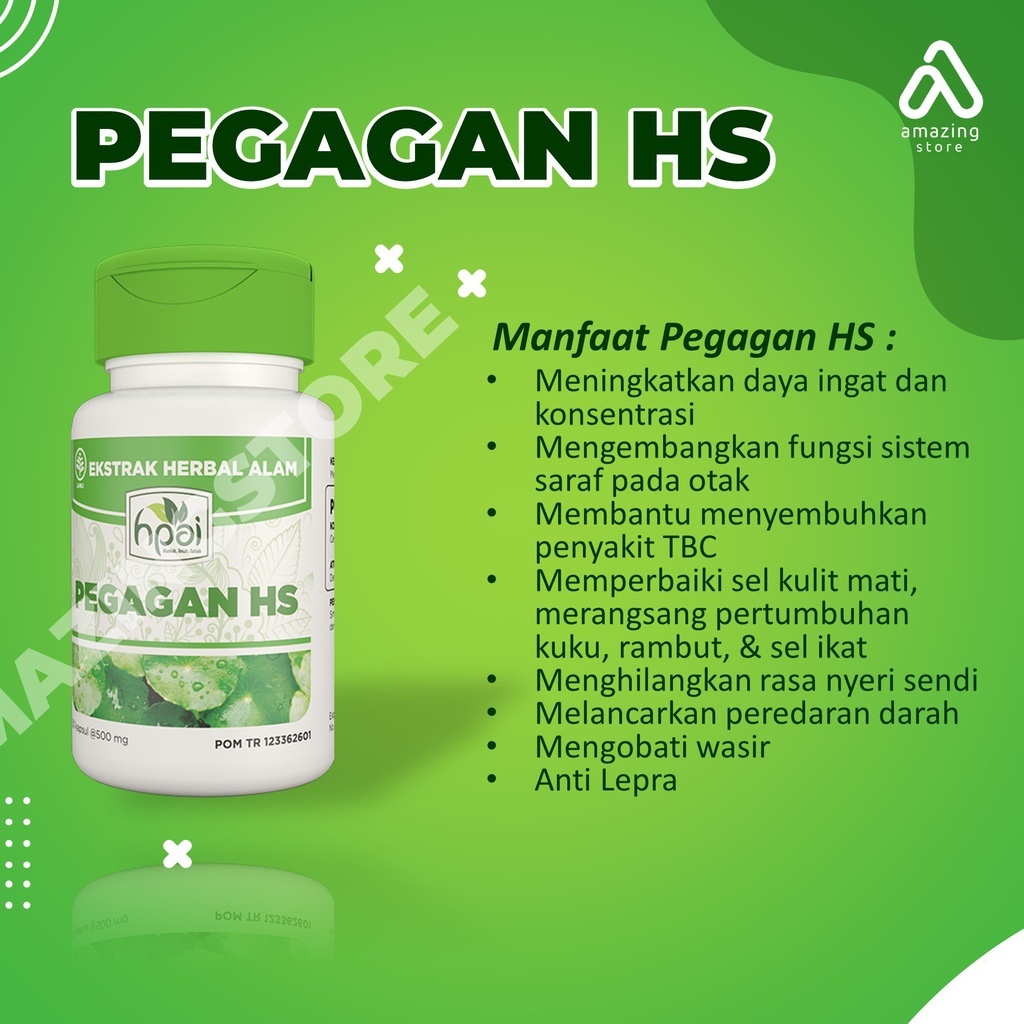 PEGAGAN HS, HNI HPAI PEGANGAN HS, 100% PRODUK HALAL DUNIA, HERBAL ALAMI dan 100% NATURAL