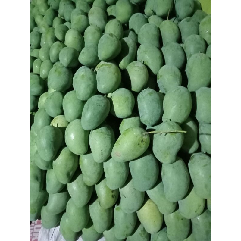 

MANGGA HARUM MANIS, 1KG JEPARA