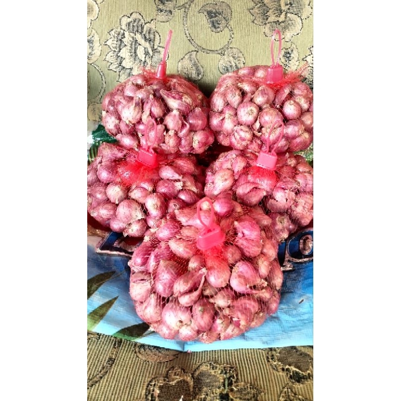 

Bawang Merah SUPER JUMBO 1Kg