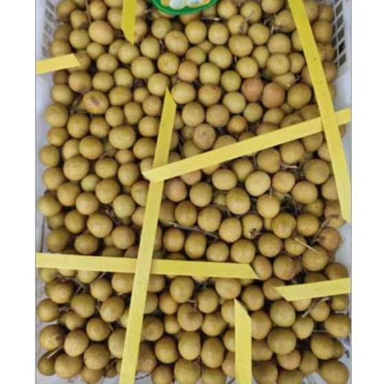 

buah kelngkeng (label hijau) 1 kg