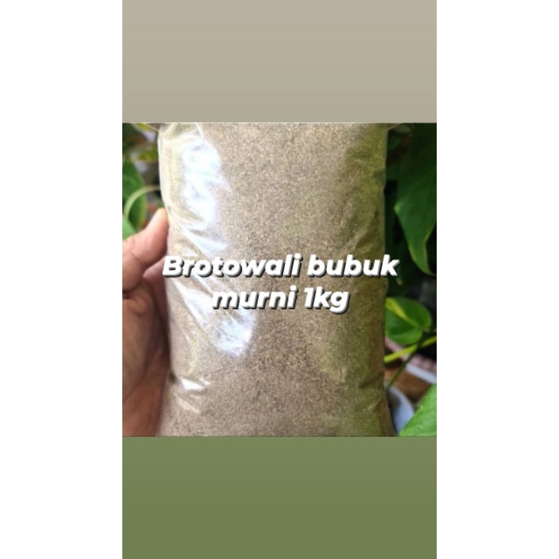 

bubuk brotowali murni tanpa campuran 1kg