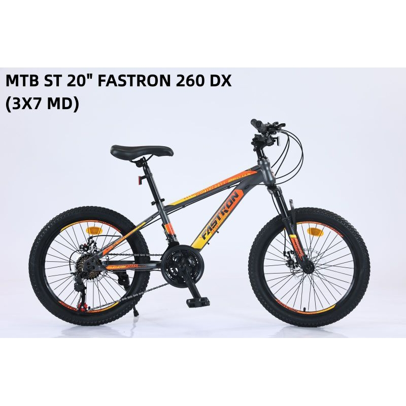 SEPEDA GUNUNG REMAJA / MTB 20" FASTRON 260 DX