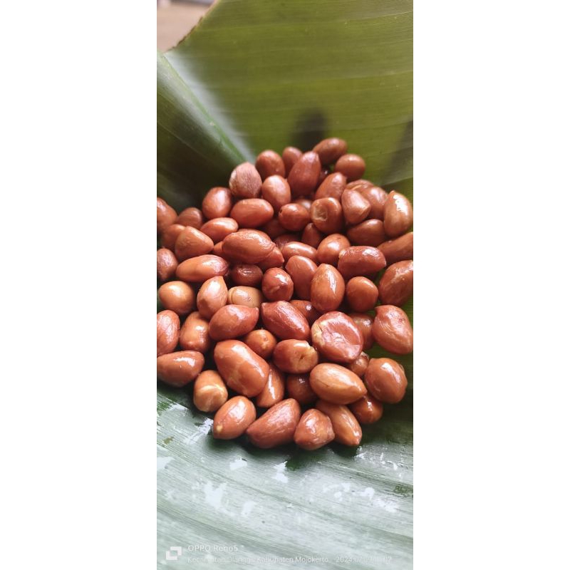 

KACANG TANAH GORENG 1 KG, 500 GRAM