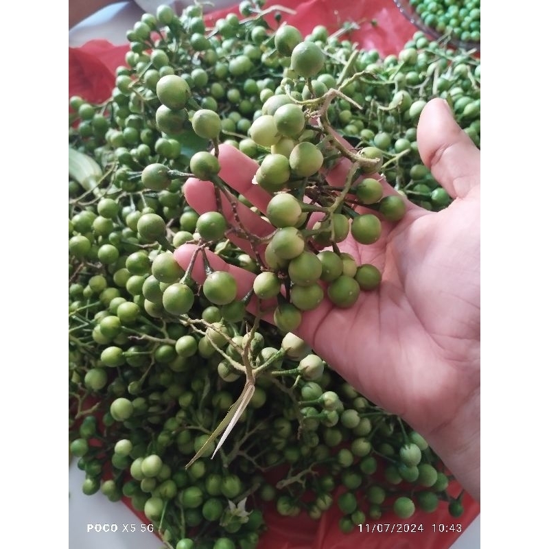 

TEKOKAK_250gr