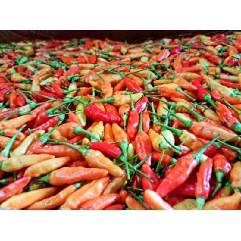 

CABE/ CABEI RAWIT MERAH 250gr/ 500gr