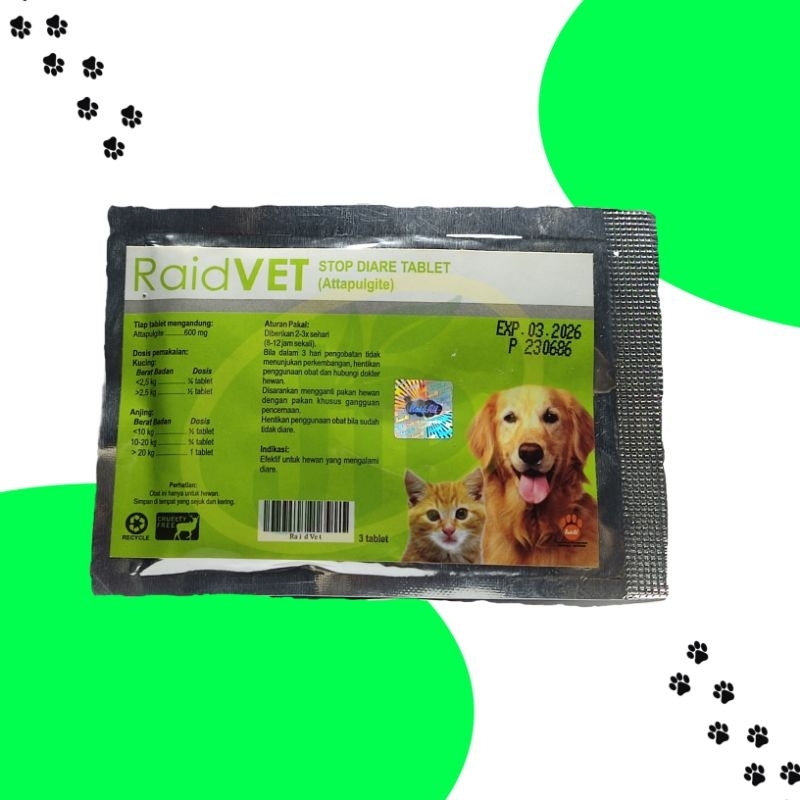 Raidvet - Obat Tablet Diare Kucing - 3 tablet
