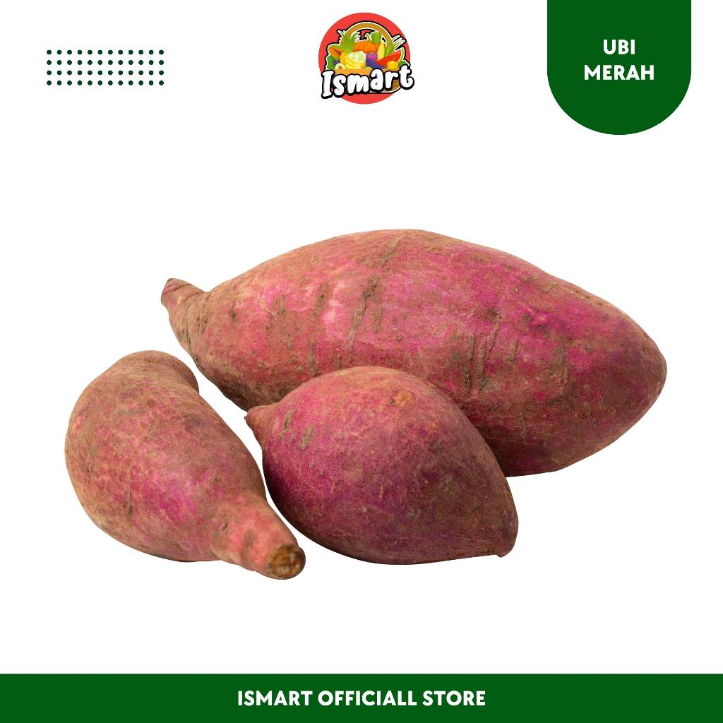 

ISMART | Ubi Merah Super | Khusus Pengiriman Untuk JABODETABEK