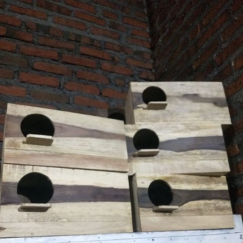 KODE V54P GLODOG FALK GELODOG FALK GELODOK PARKIT AUSTRALIA GLODOK FALK PARKIT AUSTRALIA GLODOG SARA