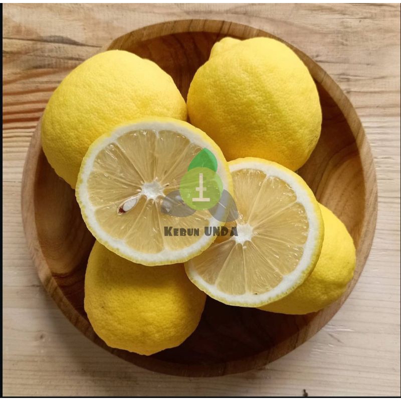 

Jeruk Lemon Lokal Super fresh per-Pcs by KEBUN UNDA