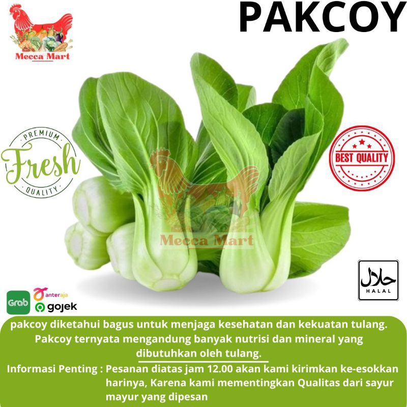 

PAKCOY FRESH - SAYURAN FRESH