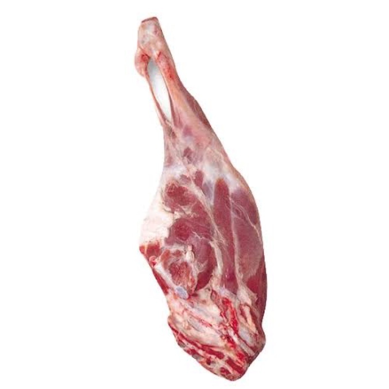 

Daging Paha Kambing Segar