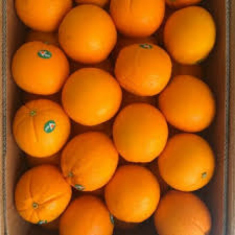 

jeruk sunkist 500gram